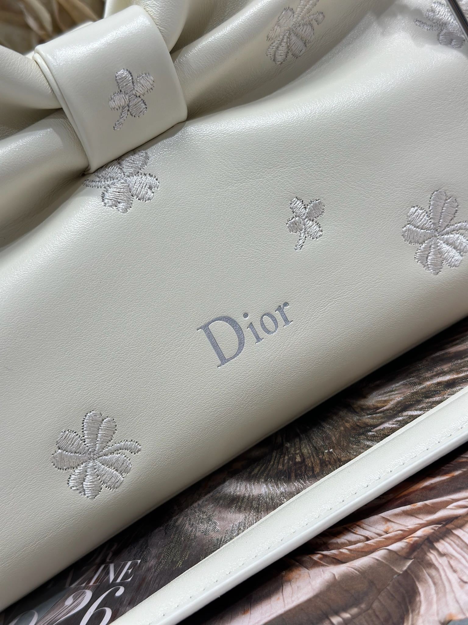 2026 Spring/Summer New Handbag Design: Embroidered with Light Gold Chain