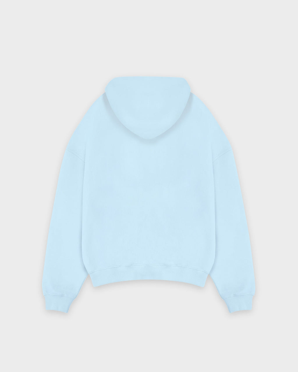 Heavy Babyblue Basic Hoodie