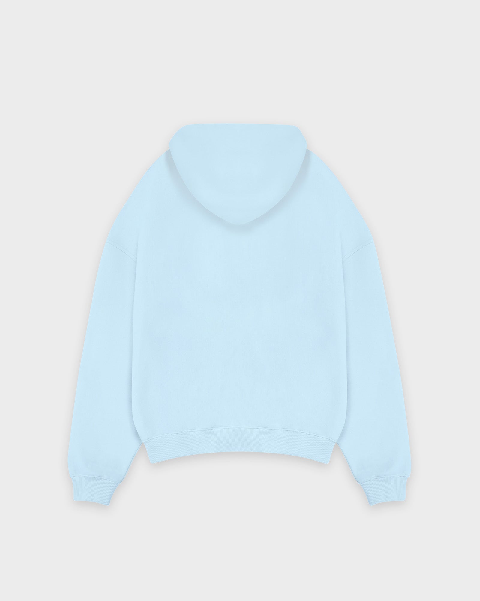 Heavy Babyblue Basic Hoodie